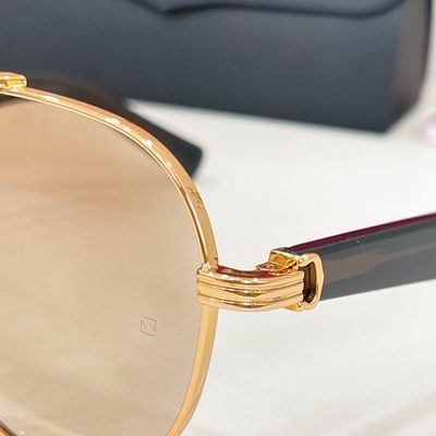 Cartier Sunglasses — 8