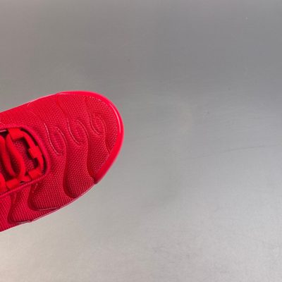 Nike Air Max Plus trainers — 7