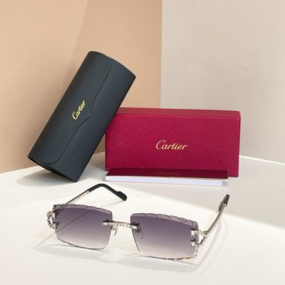 Cartier Sunglasses — 7