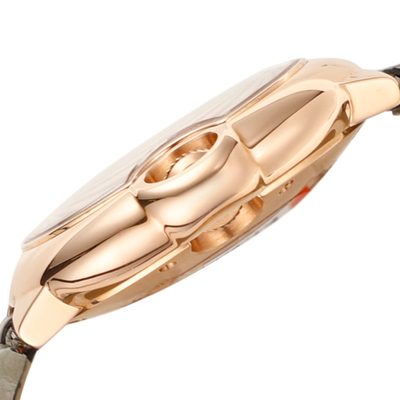 Cartier Watch — 7
