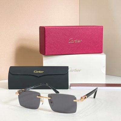 Cartier Sunglasses — 4