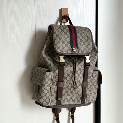 Gucci Bag — 9