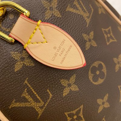Louis Vuitton Bag — 8