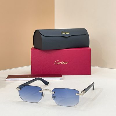 Cartier Sunglasses — 6