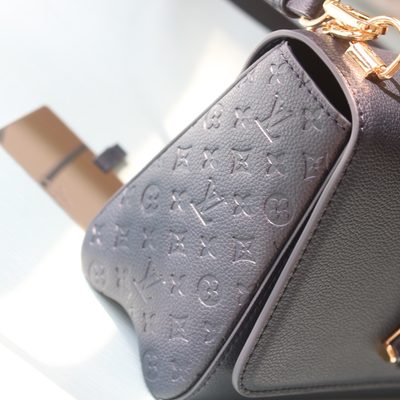 Louis Vuitton Bag — 5