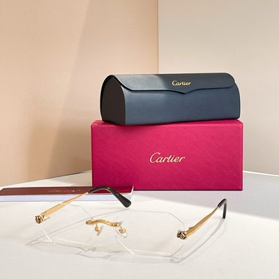 Cartier Sunglasses — 4