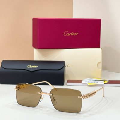 Cartier Sunglasses — 5