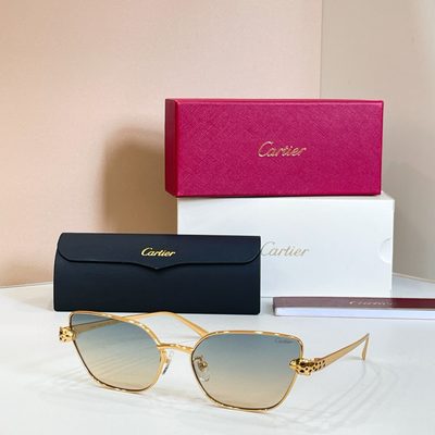Cartier Sunglasses — 7