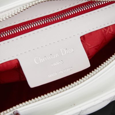 Dior Bag — 8