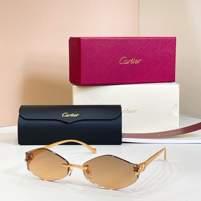 Cartier Sunglasses — 5