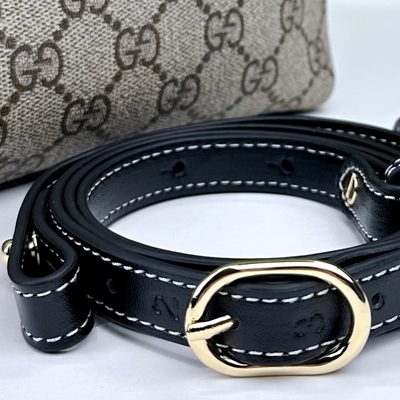 Gucci Bag — 8