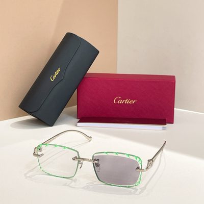 Cartier Sunglasses — 8