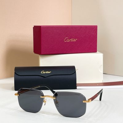 Cartier sunglasses — 5