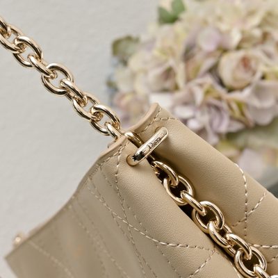 Dior Bag — 5