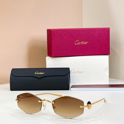 Cartier Sunglasses — 7
