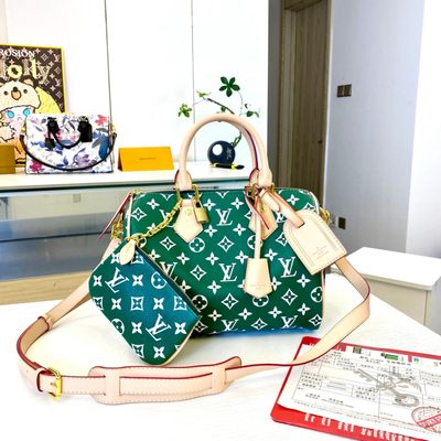 Louis Vuitton Bag
