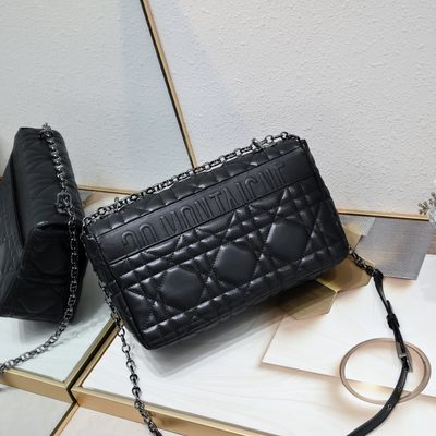 Dior Bag — 3