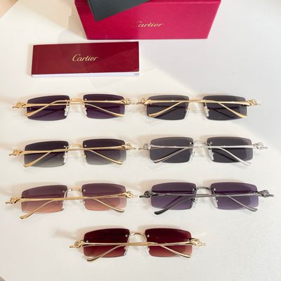 Cartier Sunglasses — 8