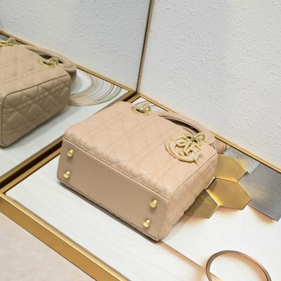 Dior Bag — 6