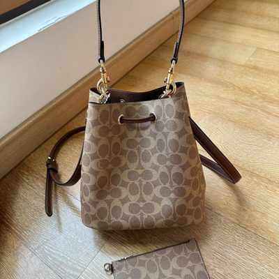 Coach Bag — 6