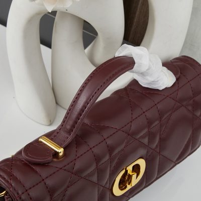 Dior Bag — 7