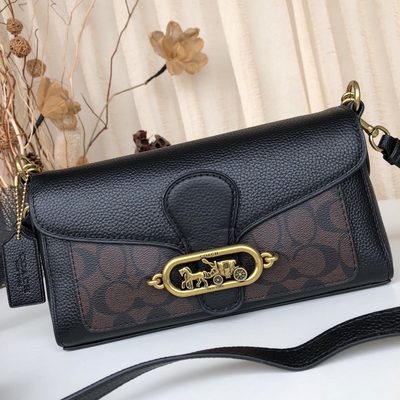 Coach Bag — 6