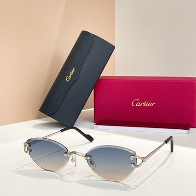 Cartier Sunglasses — 7