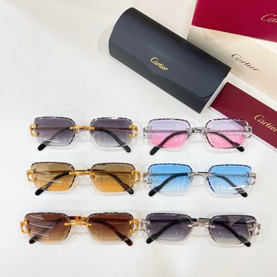 Cartier Sunglasses — 8