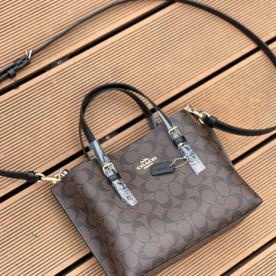 Coach Bag — 4