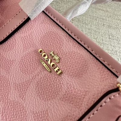 Coach Bag — 4