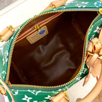 Louis Vuitton Bag — 9