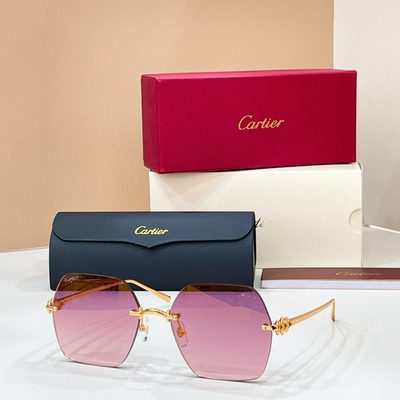 Cartier Sunglasses — 4