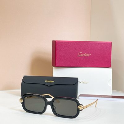 Cartier Sunglasses — 3