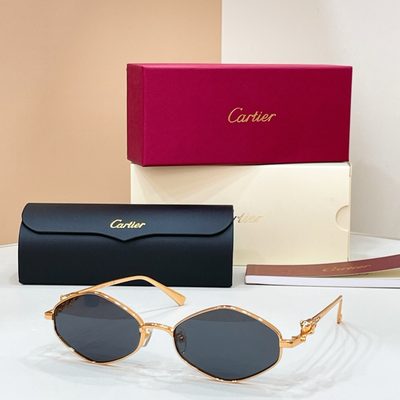 Cartier Sunglasses — 8