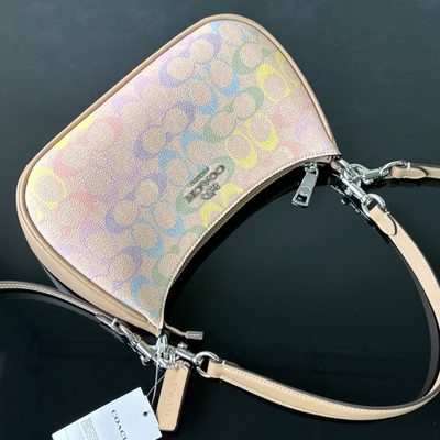 Coach Bag — 6