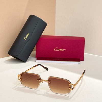 Cartier Sunglasses — 5