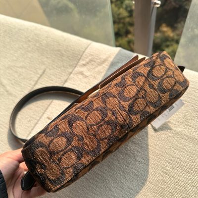 Coach Bag — 4