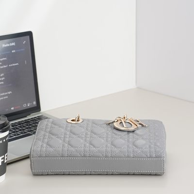 Dior Bag — 6