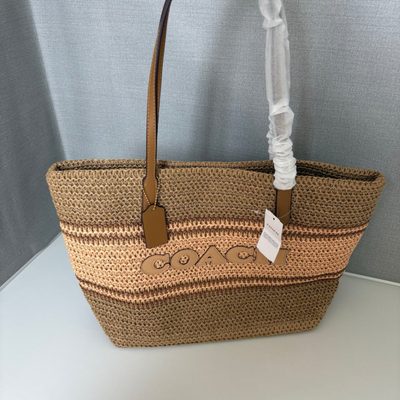 Coach Bag — 6