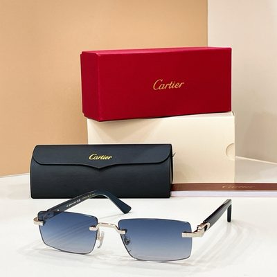 Cartier Sunglasses — 8