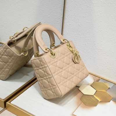 Dior Bag — 4