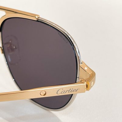 Cartier Sunglasses — 9