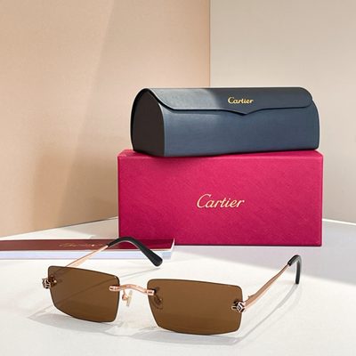 Cartier Sunglasses — 7