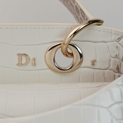 Dior Bag — 5