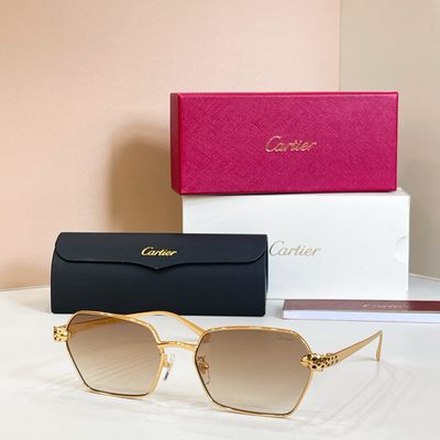 Cartier Sunglasses — 9