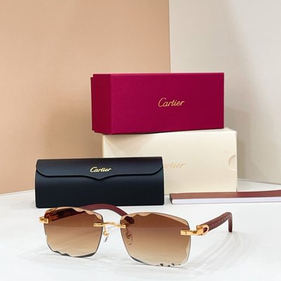 Cartier sunglasses — 6