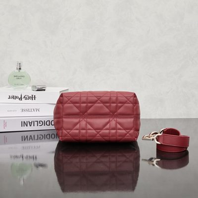Dior Bag — 4
