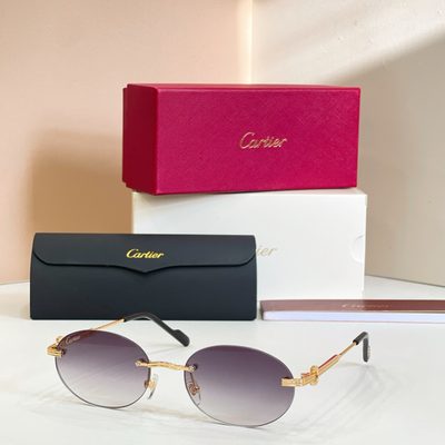 Cartier Sunglasses — 7