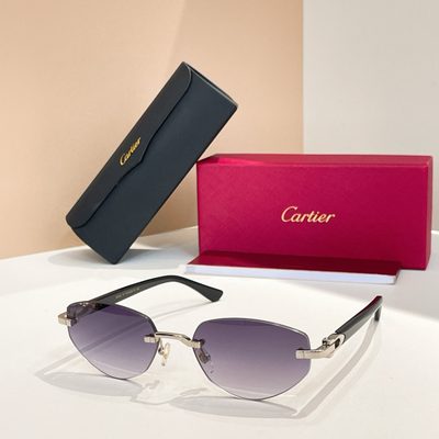 Cartier Sunglasses — 8