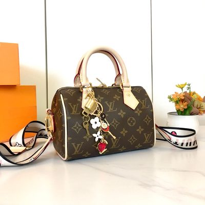 Louis Vuitton Bag — 3